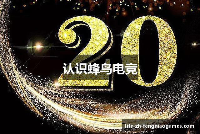 认识蜂鸟电竞